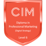 diploma-in-professional-marketing-digital-strategy